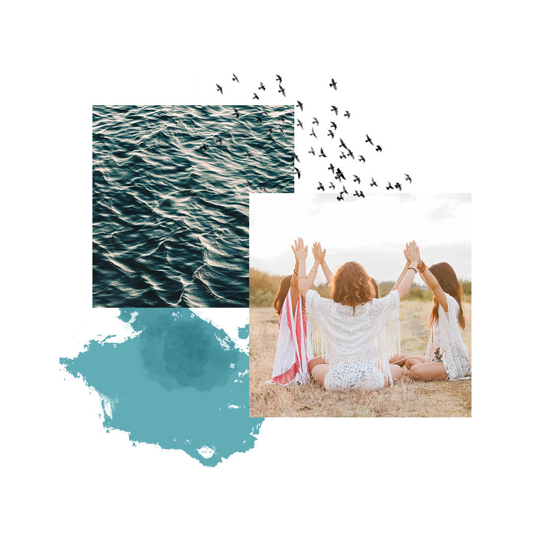 What's in Each Module What's in Each Module