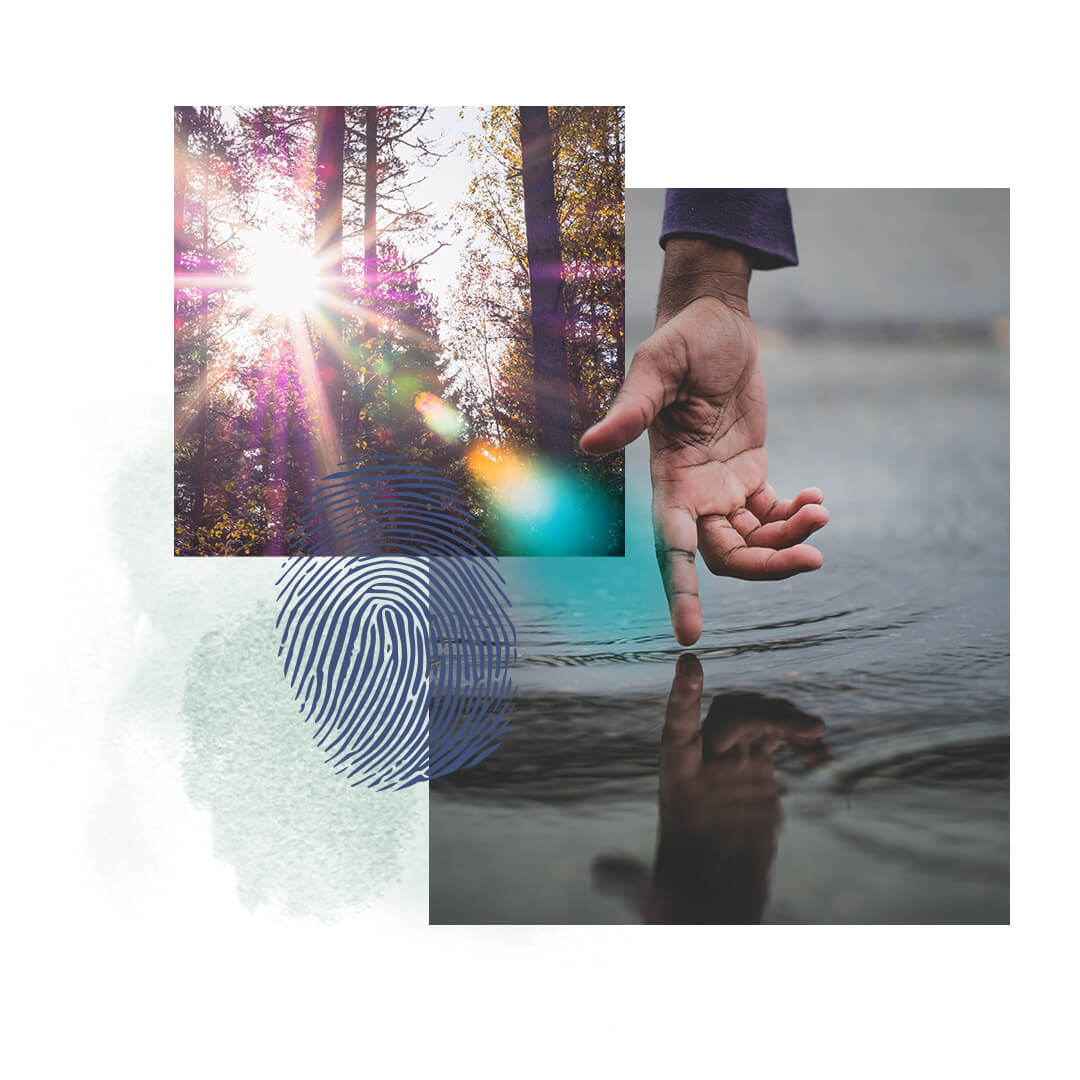 What's in Each Module What's in Each Module