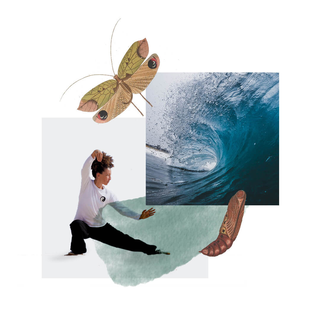 What's in Each Module What's in Each Module