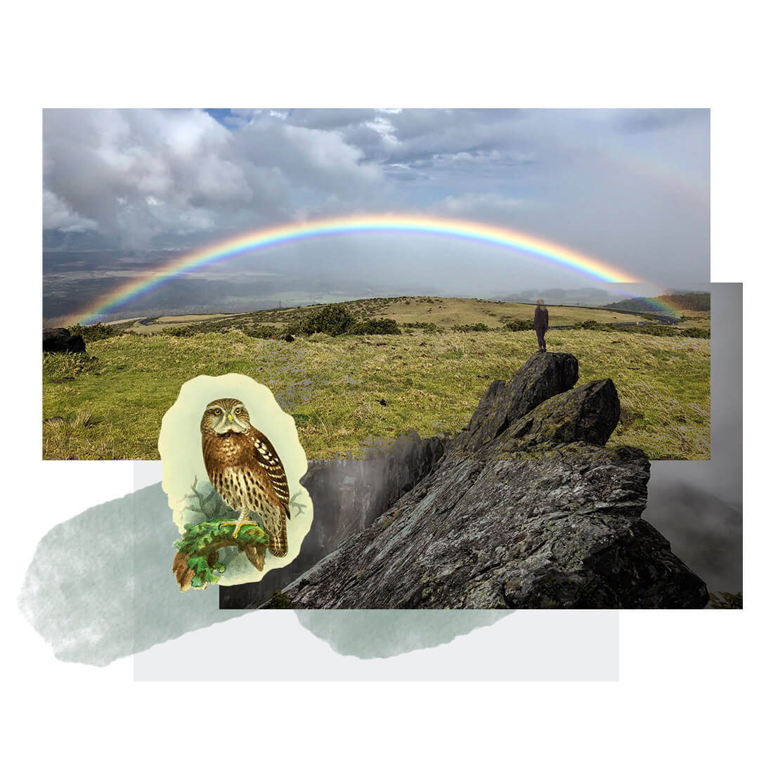 What's in Each Module What's in Each Module