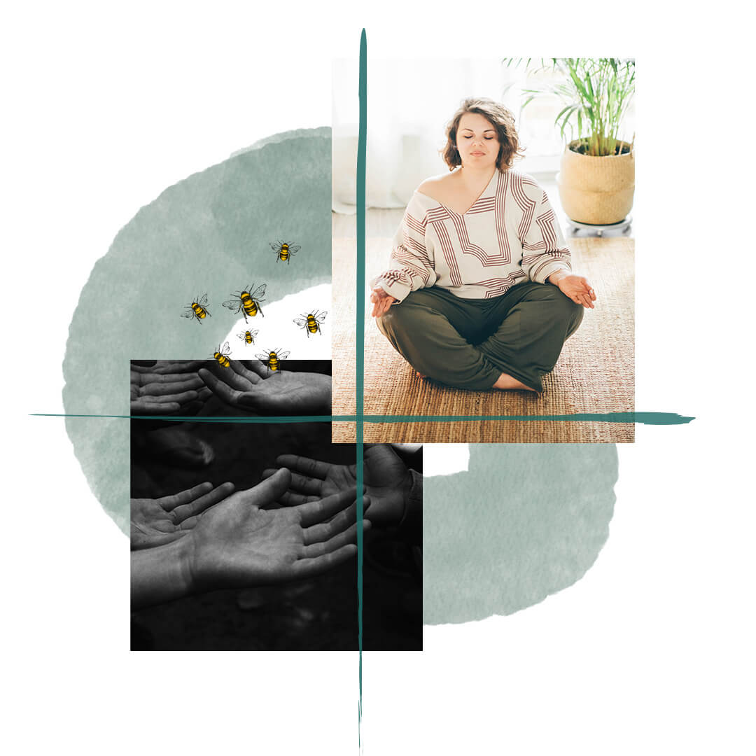 What's in Each Module What's in Each Module