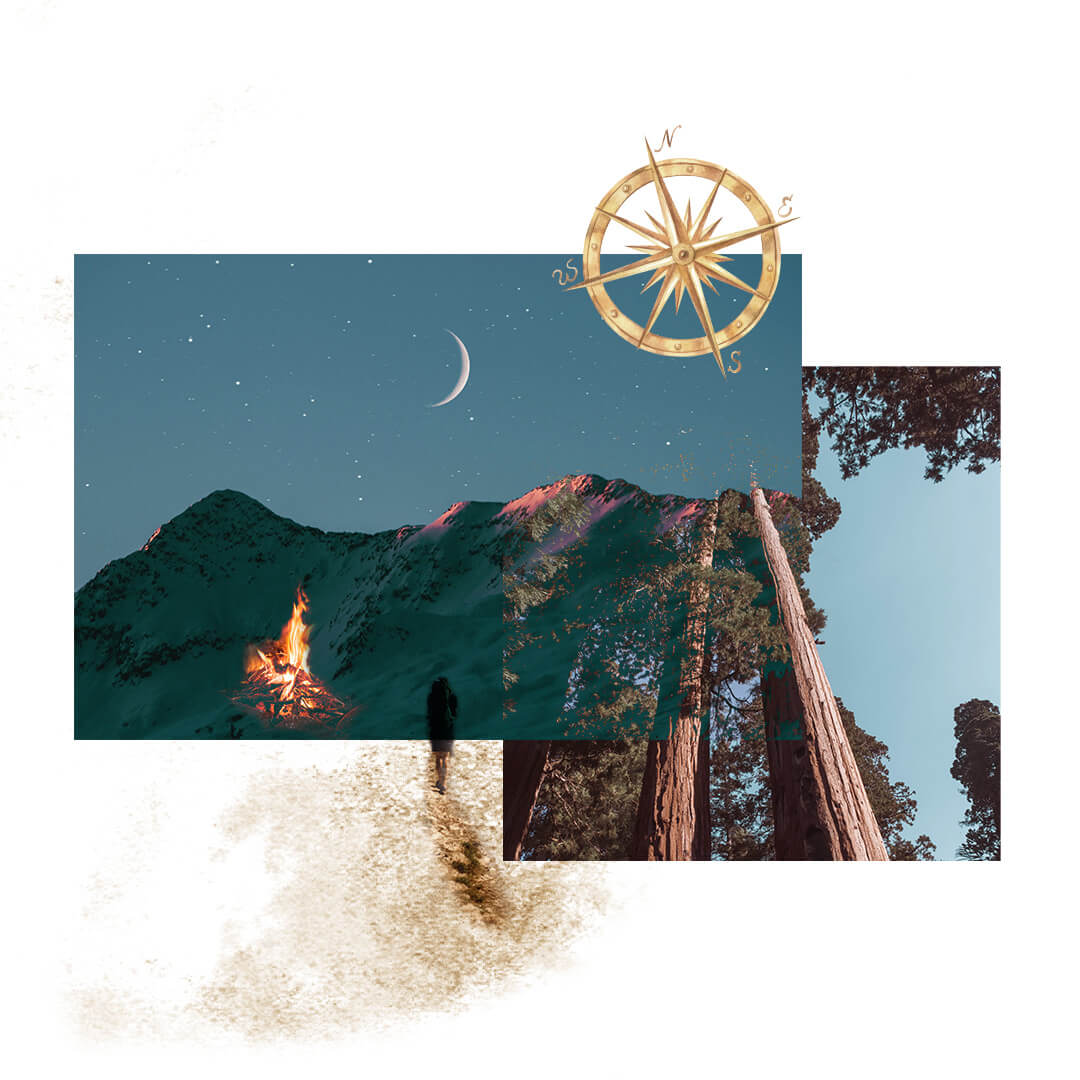 What's in Each Module What's in Each Module