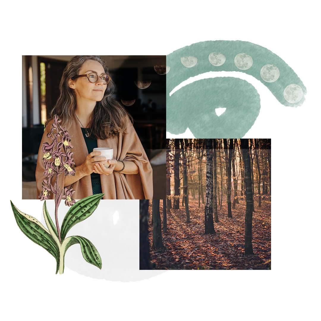 What's in Each Module What's in Each Module