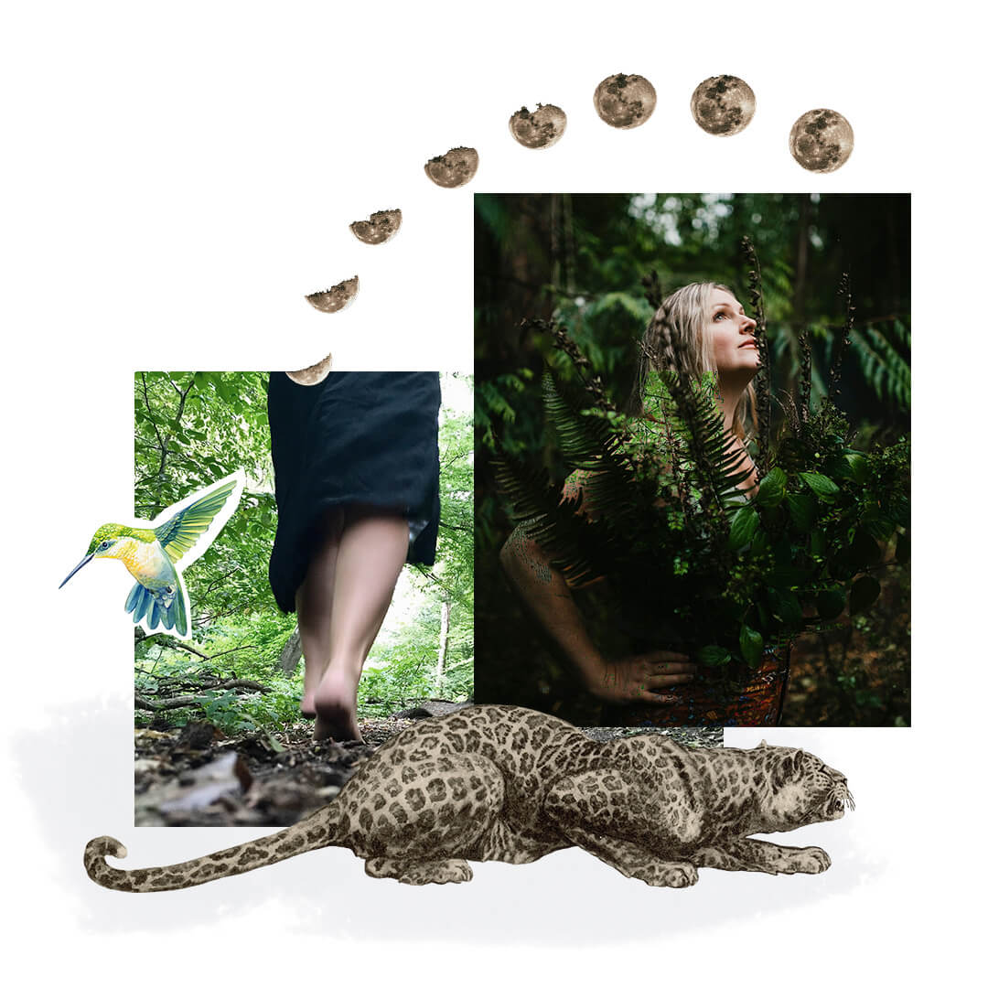 What's in Each Module What's in Each Module