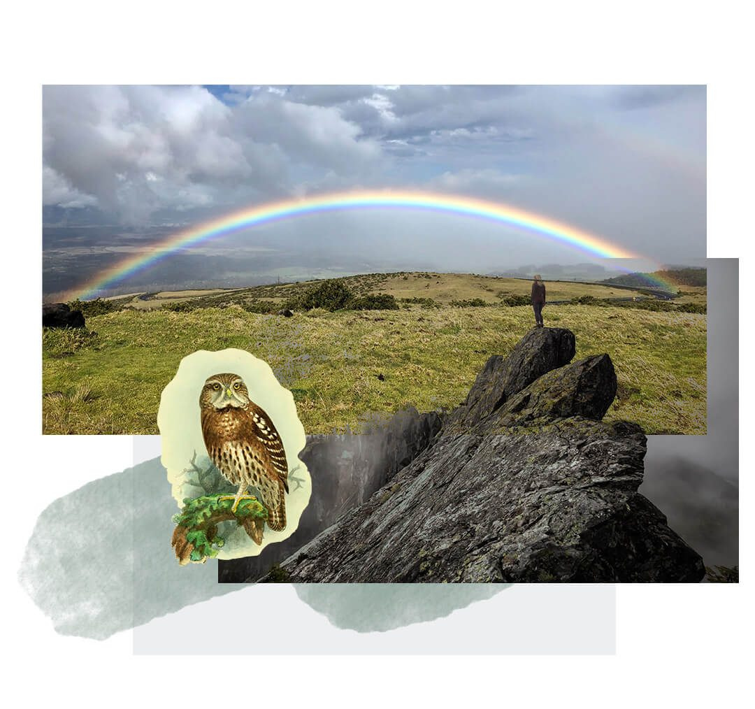 Sessions (with image) – Seasons