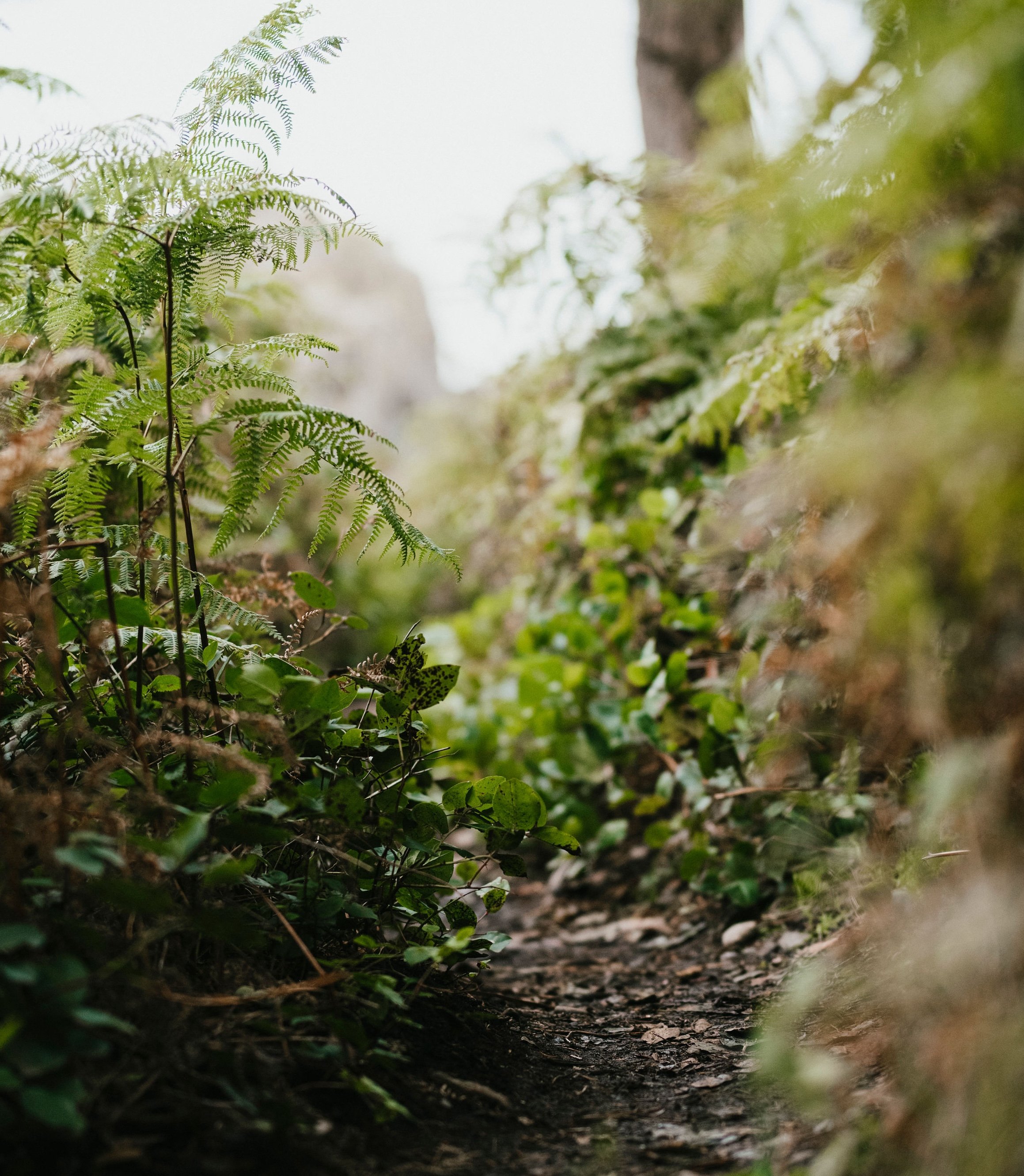 Chela’s Season’s Story Chela’s Season’s Story