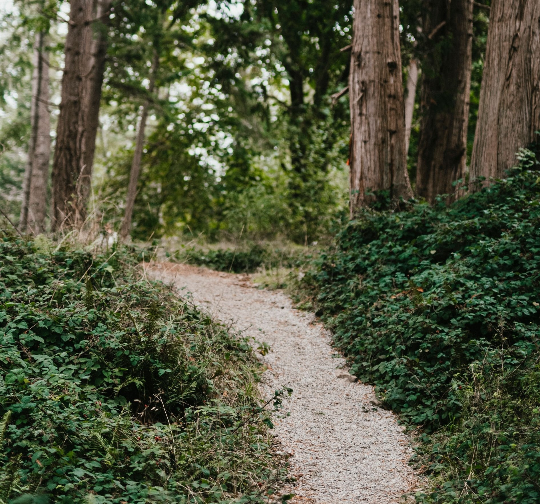 Chela’s Resistance Story Chela’s Resistance Story