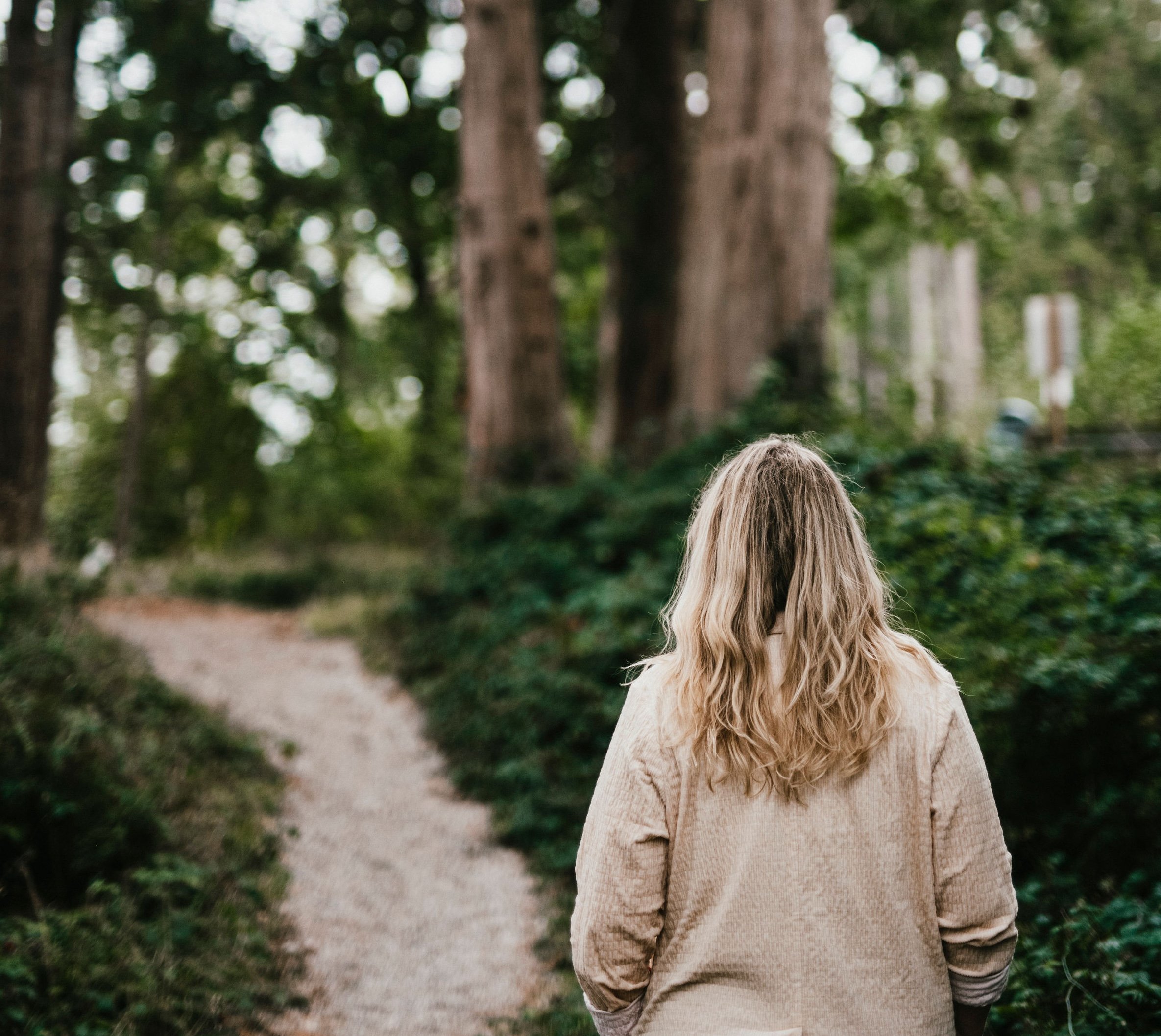 Chela’s Season’s Story Chela’s Season’s Story