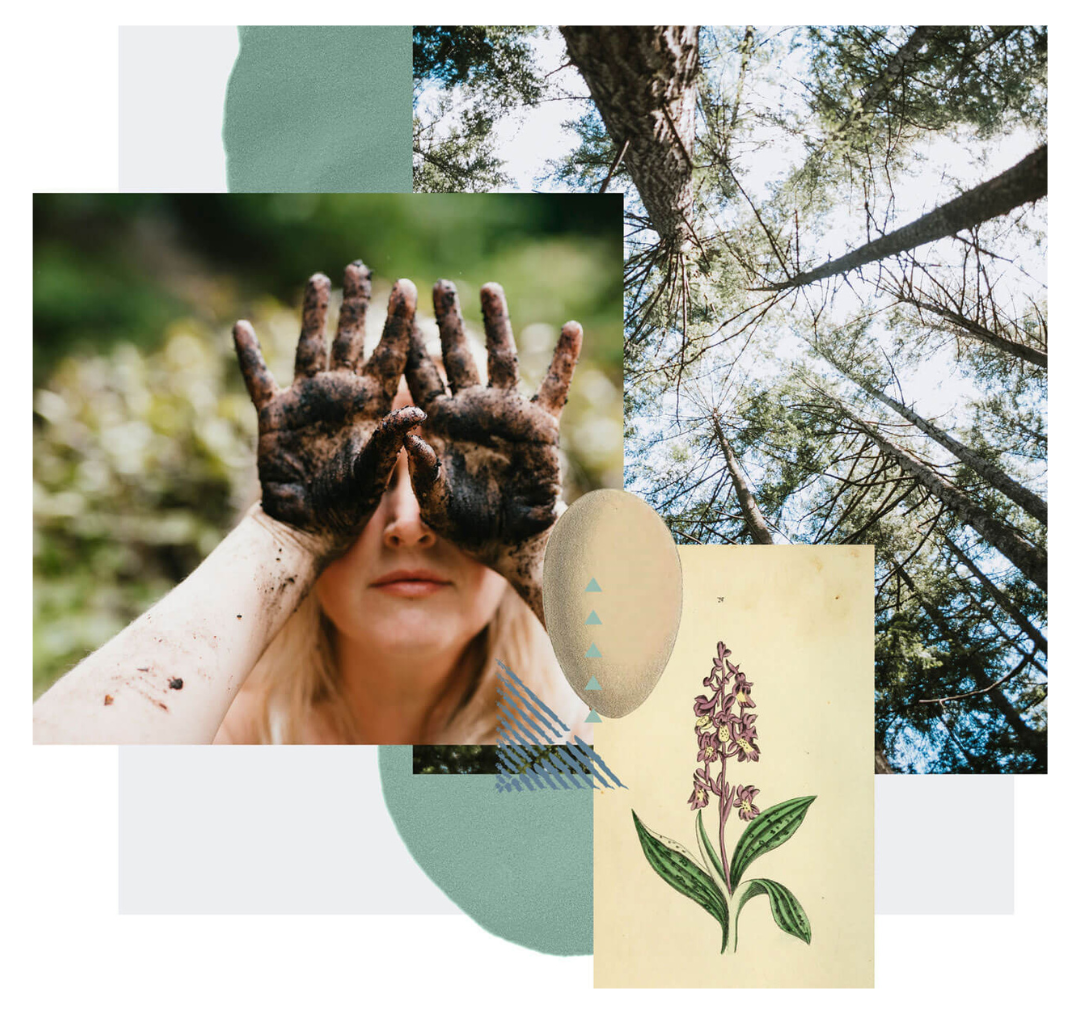 Sessions (with image) – Seasons Sessions (with image) – Seasons